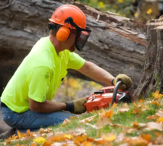 tree services North Gates